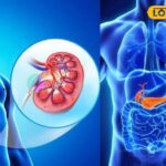 स्टोन्स