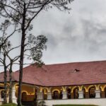 कोडागू में बांस क्लब की बहाली