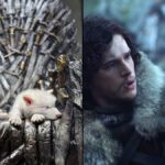 कोलोसल बायोसाइंसेस जॉर्ज आरआर मार्टिन और पीटर जैक्सन की मदद से विलुप्त होने से सख्त भेड़िया को पुनर्जीवित करता है