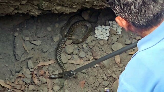 खेलते समय, बच्चे 7 फीट गहरे गड्ढे के पास पहुंचे, आंतरिक दृश्य को देखने के बाद इंद्रियों को उड़ाया,