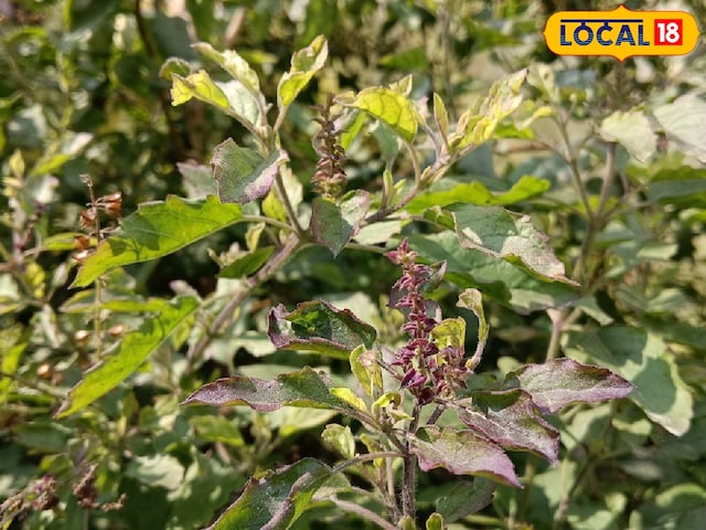 प्रतीकात्मक