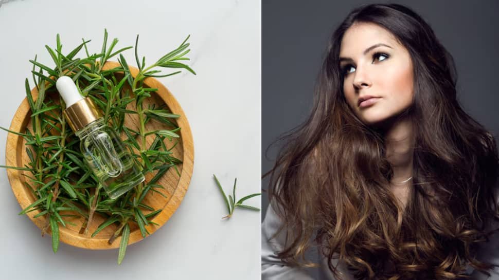 चमकदार, मजबूत बालों के लिए DIY रोज़मेरी हेयर मास्क: हेयर ग्रोथ और स्कैल्प हेल्थ को स्वाभाविक रूप से बढ़ावा दें