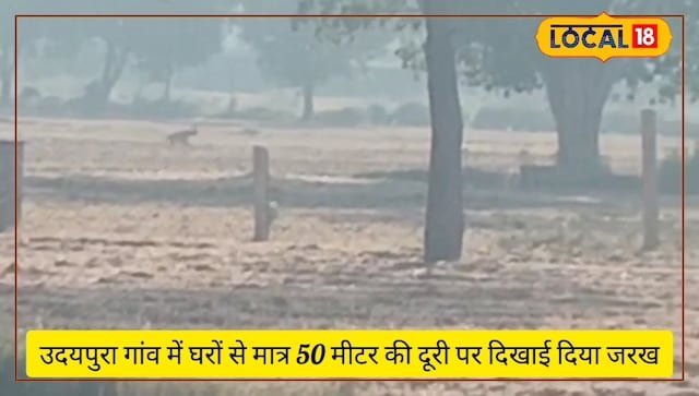 जरख