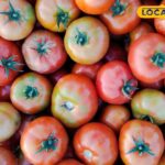 फतेहपुर