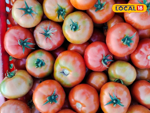 टमाटर 8 रुपये किलो … किसान चिंता में डूबे हुए हैं, बोलते हैं- लागत को दूर करना मुश्किल है