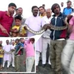 पायथन के साथ सेल्फी को महंगा, दफन दांत लेना था, व्यक्ति को चिल्लाना भी नहीं कर सकता था