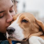 तनाव को कम करने के लिए साहचर्य; पता है कि कैसे एक कुत्ता आपके स्वास्थ्य के लिए फायदेमंद हो सकता है