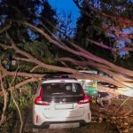 दिल्ली का आनंद, लेकिन बंगाल से केरल तक 7 दिन भारी होगा