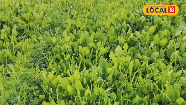 फतेहपुर