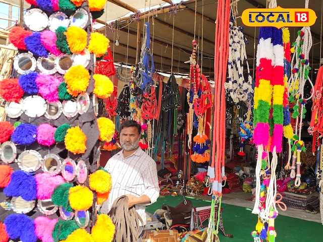 पशु सौंदर्य टिप्स: तिल्वारा मवेशी मेले में ऊंट-घोड़े सौंदर्य पार्लर, 5 से 5 लाख का शौचालय, पीढ़ियों के लिए परंपराएं चल रही हैं