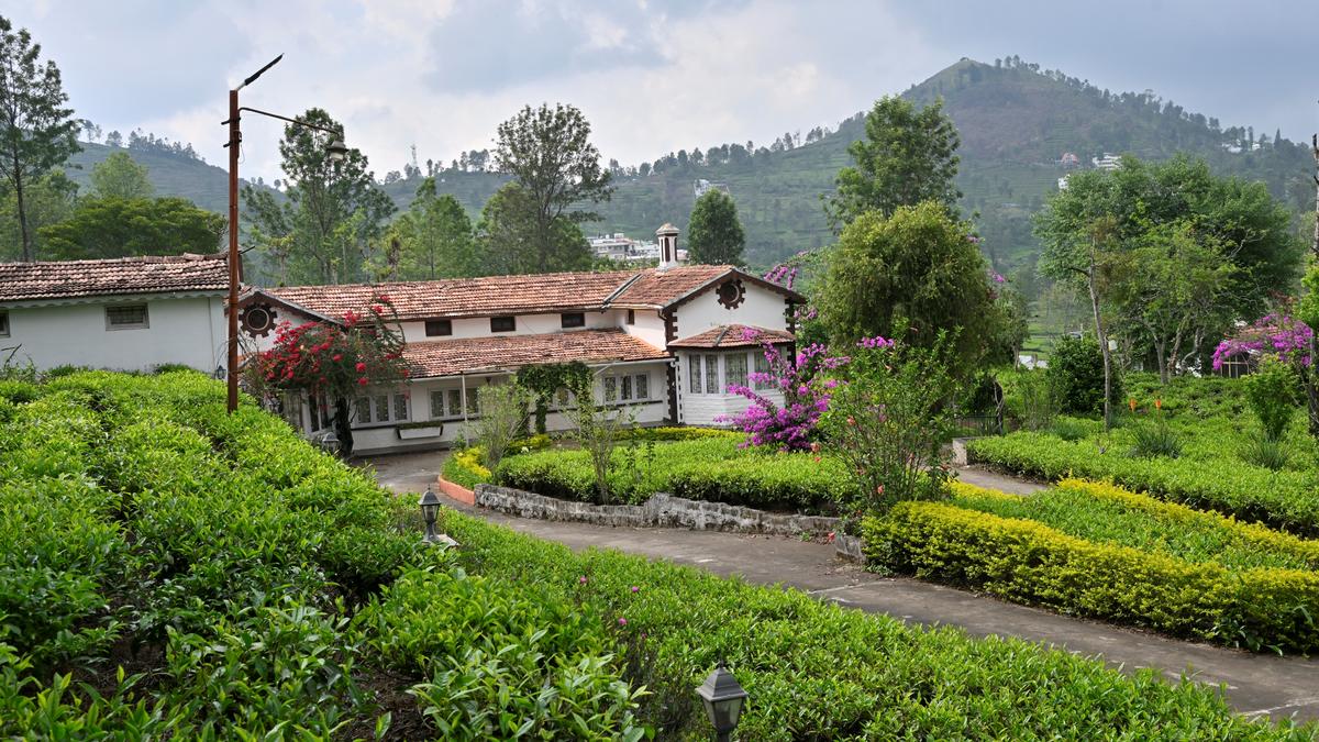 पहाड़ियों में एक घर खरीदना: कोनूर और कोटागिरी में मांग में वृद्धि