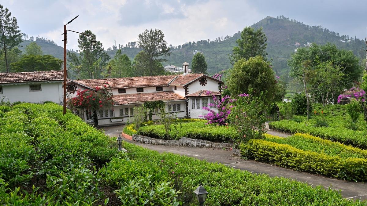 पहाड़ियों से बच: नीलगिरियों में मांग बढ़ती है