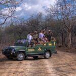 पुनर्योजी यात्रा | छुट्टियां जो वापस देती हैं