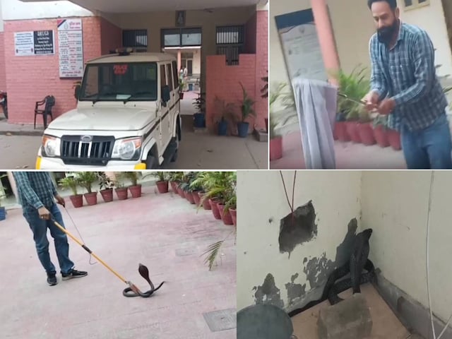 पुलिसकर्मियों ने पुलिस स्टेशन छोड़ दिया, अंदर जाने के लिए साहस इकट्ठा नहीं कर सके, पता है कि क्यों