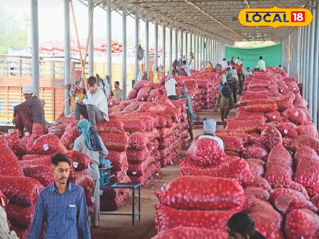 प्याज में उतार -चढ़ाव, किसानों के बीच निराशा, 8 से 11.50 रुपये प्रति किलोग्राम, 20 हजार हेक्टेयर में खेती