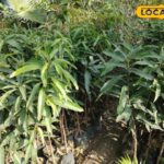 अध्ययन करते हैं