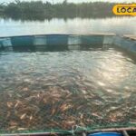 क्षेत्र में खाली जगह पर बनाया गया मछली पाउंड, सरकार इतना अनुदान दे रही है, इस तरह से आवेदन करें