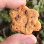 फूड स्टार्ट-अप TOCCO स्वस्थ स्नैक विकल्पों की तलाश करने वाले लोगों के साथ देश भर से घरेलू शेफ को जोड़ता है