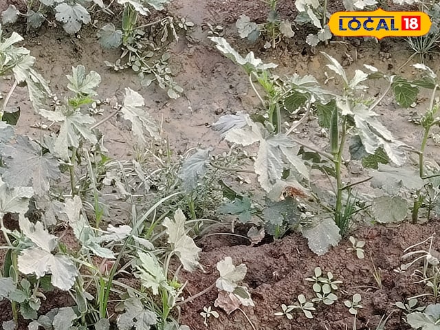 साहुपुरा