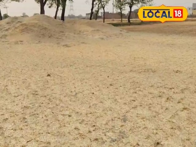 भूख को कचरा के रूप में मत फेंको, यह गाय-बफ़लो के लिए है, टॉनिक, इतना दूध देगा कि लाखों कमाई शुरू कर देंगे