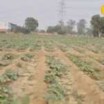 साहुपुरा