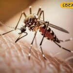 मलेरिया क्रैश अभियान ने मच्छर -जनित रोगों को रोकने के लिए शुरू किया