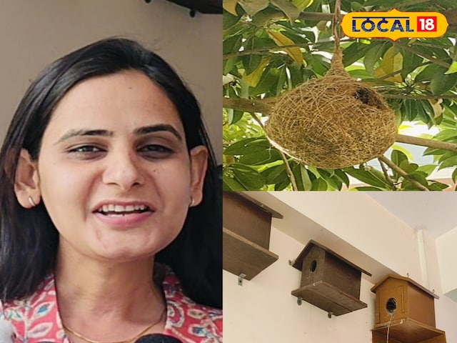 यह महिला प्लांट बेबी, इस महिला, स्पैरो की सुरक्षा के साथ -साथ रोपण के साथ -साथ कई सम्मान प्राप्त हुई है