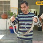 यह व्यक्ति पलक झपकते में बड़े जहरीले सांपों को पकड़ता है, कारण जानता है