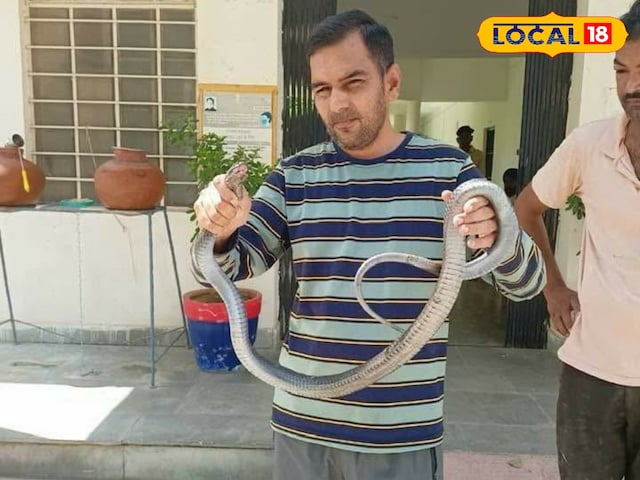 यह व्यक्ति पलक झपकते में बड़े जहरीले सांपों को पकड़ता है, कारण जानता है