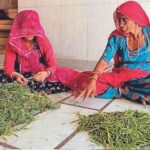 ये सब्जियां काजू-अलमंडों की तुलना में अधिक महंगी हैं, वे केवल राजा-राजवाड़ा खाने के लिए इस्तेमाल करते थे, स्थिति से बाहर हैं