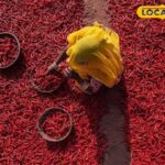 टिन्वरी-नामाथानिया