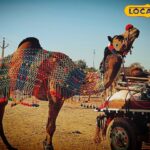 रेगिस्तान