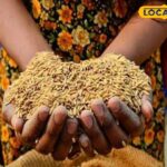 राजस्थान सरकार का बड़ा फैसला, अब कलेक्टर भी NFSA सूची में नाम जोड़ने में सक्षम होगा