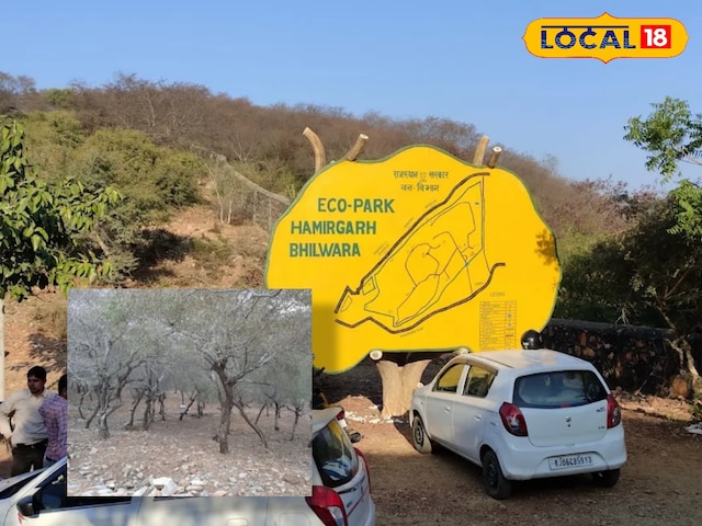 राज्य पर्यटन: हमरगढ़ इको पार्क में चलना और यहां तक ​​कि आसान, तारा मंडल तारा मंडल को देख पाएंगे,