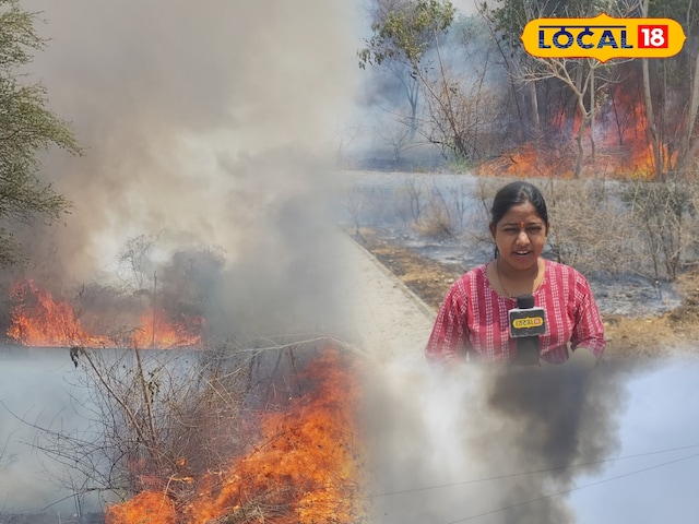 रिमी के सितंबर के कारण हिल्स धधकते हुए, आग ने उदयपुर के दो विश्वविद्यालयों में कहर पैदा किया, लोग घबराहट में