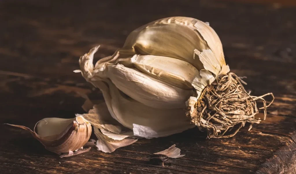 Benefits of Eating Garlic