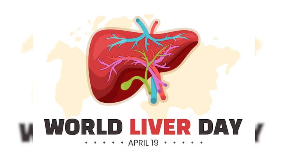 विश्व लिवर दिवस 2025: 8 आम दैनिक आदतें जो युवा वयस्कों में यकृत स्वास्थ्य को नुकसान पहुंचा सकती हैं