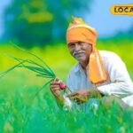 किसानों के लिए अच्छी खबर, सरसों की खरीद की सीमा 30 जून तक 40 क्विंटल है