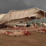 हरियाणा में, किसानों की फसलों को बारिश के कारण भिगोया जाता है, गरज के कारण तबाही हुई, गर्मी से राहत