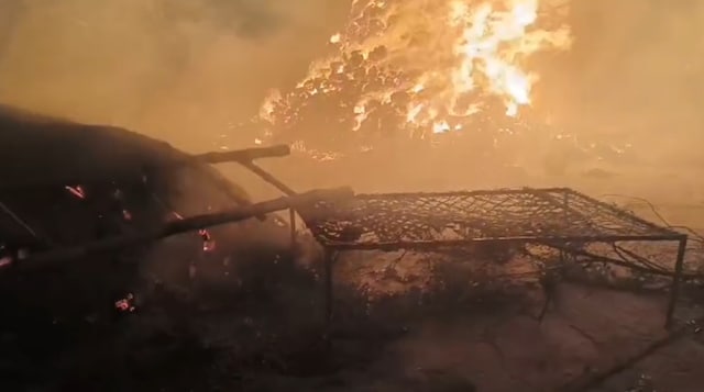 हरियाणा: कुरुक्षेट्रा में गरज के बाद, आग की आग, फसल जली हुई राख, पेड़ों को ढहने के कारण ढह गया