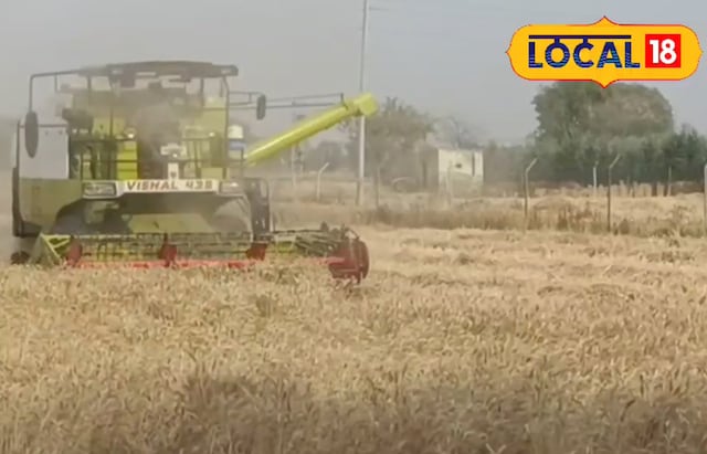 हरियाणा में खेतों में गेहूं का कटिंग ‘दानव’ उतारा, 20 मिनट में एक एकड़ साफ, अनाज-दोष भी अलग, खर्च करना बहुत कम है