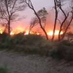 किसानों को मिट्टी में कड़ी मेहनत मिली, आग के कारण राख के लिए 700 एकड़ की फसल जल गई