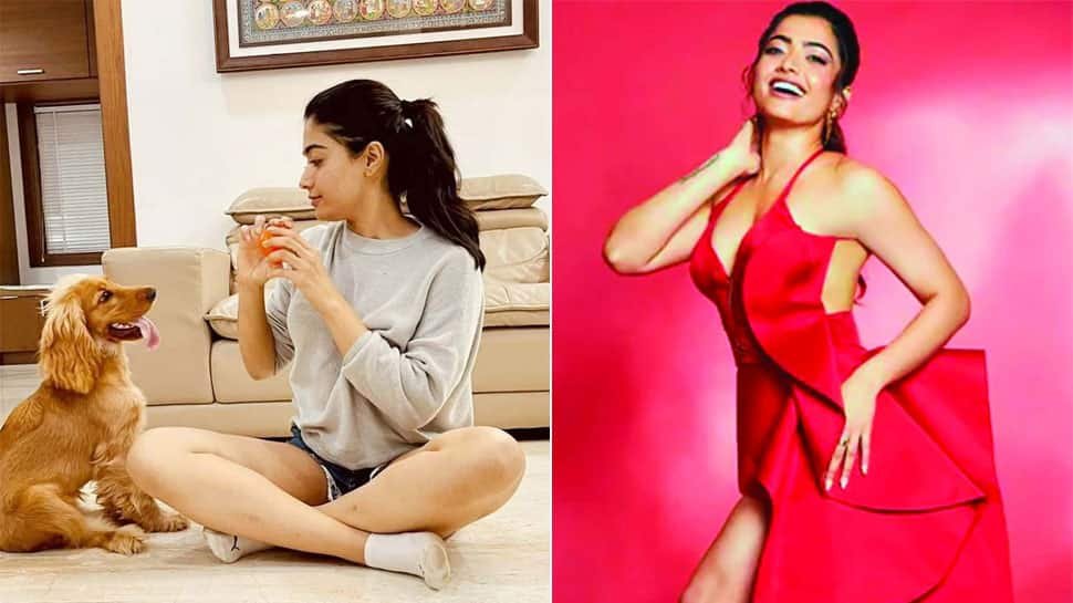 हरे रंग के आंगन, सामने लॉन और एक छत की बालकनी के साथ विभिन्न भारतीय शहरों में रशमिका मंडनस लक्जरी तेजस्वी घरों के अंदर कदम - पिक्स में