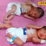 IVF के 5 बार के बाद भी, दंपति के बच्चे नहीं थे, जैसे ही वह सिकर गए थे, चमत्कार किया गया था