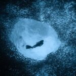 Meet Archana Sankaranarayanan, India’s deepest female freediver