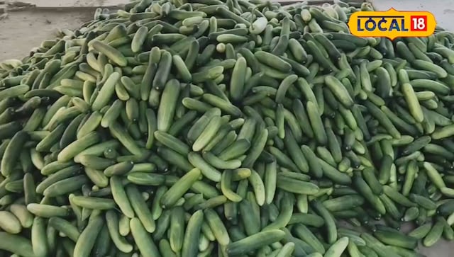 अप के किसानों ने हरियाणा में खेती करना शुरू कर दिया, पट्टे पर भूमि से ऐसा कुछ कमाया … आपको भी सीखना चाहिए!