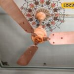 बीकानेर