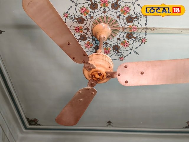 बीकानेर