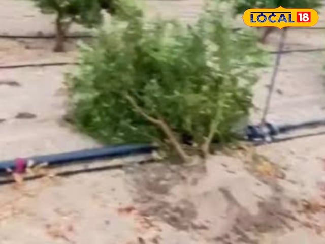 एक रात अधिक कड़ी मेहनत, आंखों में आँसू … चेहरे पर उदासी