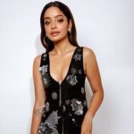 एक्सक्लूसिव: तारीफन गायक लिसा मिश्रा ने रॉयल्स को एक सपना सेट कहा, दिलजीत दोसांज से प्यार करता है, गाला लुक से, उन्होंने कहा कि उन्होंने अपनी केप पर पंजाब का नक्शा पहना था